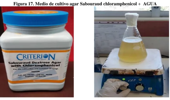 Figura 17. Medio de cultivo agar Sabouraud chloramphenicol +  AGUA  