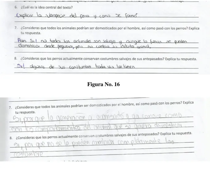 Figura No. 16 