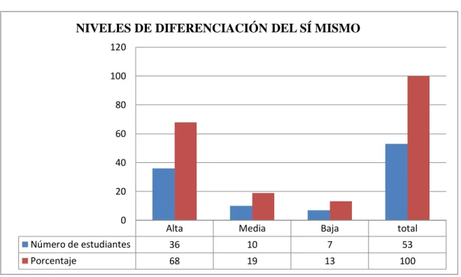 Gráfico N° 1.  