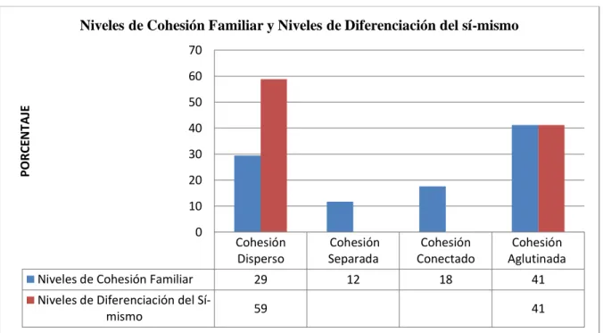 Gráfico N°4 