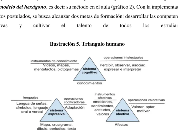 Ilustración 5. Triangulo humano 