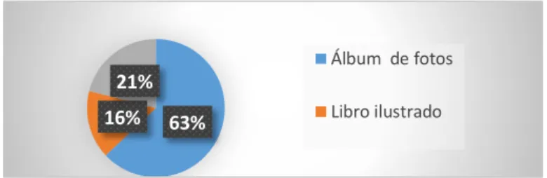 Figura 2.   Concepciones del concepto “Libro álbum” 