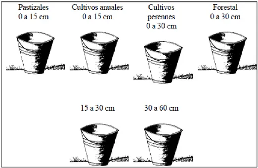 Figura 7.- Profundidad de muestreo de suelos para determinar la mayoría de nutrientes  para diferentes cultivos 