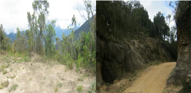 Figura 8. Cundinamarca, Municipio de La Calera, Vereda Jerusalén. Este sector, uno de los más elevados presentan zonas muy  rocosas y laderas, el suelo posee una coloración oscura  (Foto: Moreno, G Oct