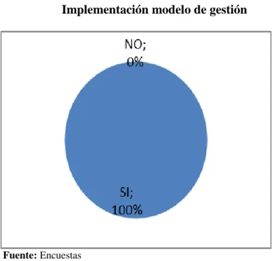 Gráfico Nº 13 