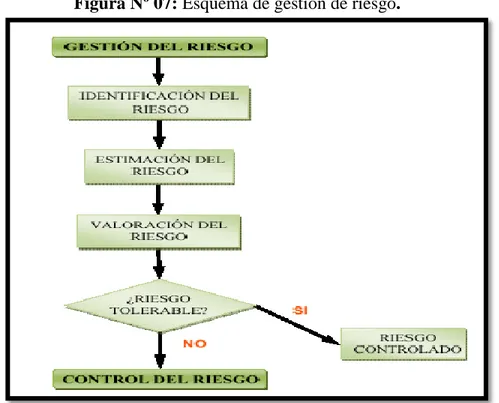 Figura Nº 07: Esquema de gestión de riesgo. 