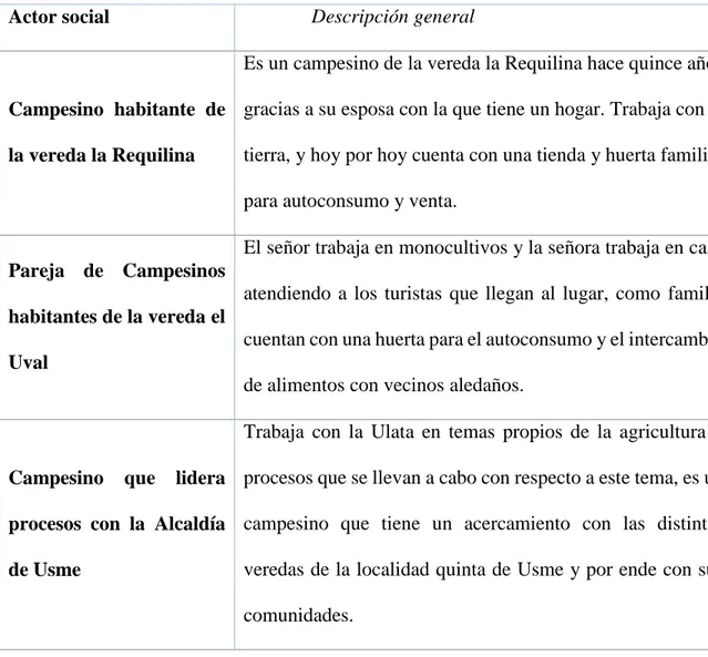 Tabla 1 Actores que intervinieron en el desarrollo de la investigación  Actor social  Descripción general 