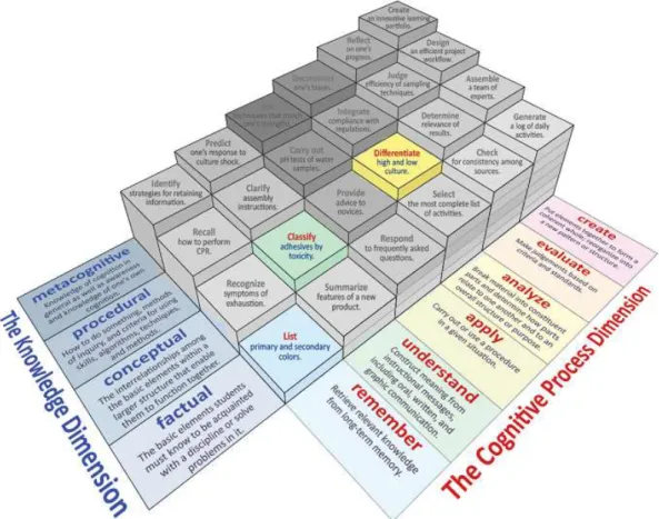 Figura 15. Elementos para evaluar el proceso de formación desde la lexicografía computacional