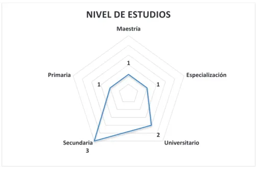 Figura 7 - Nivel de estudios de los colaboradores  (Director-Ejecutivo, 2014) 