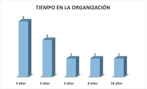 Figura 9 - Tiempo en la organización que tienen los colaboradores  (Director-Ejecutivo, 2014) 