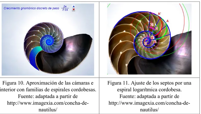 Figura 10. Aproximación de las cámaras e  interior con familias de espirales cordobesas