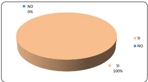 Gráfico Nº 10 