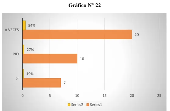 Gráfico N° 22  