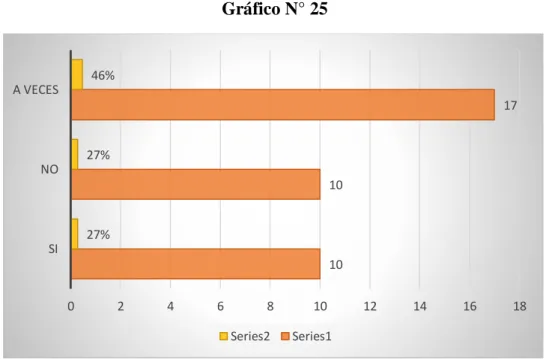 Gráfico N° 25  
