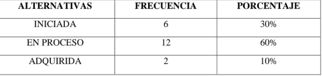 GRÁFICO N° 4.6 