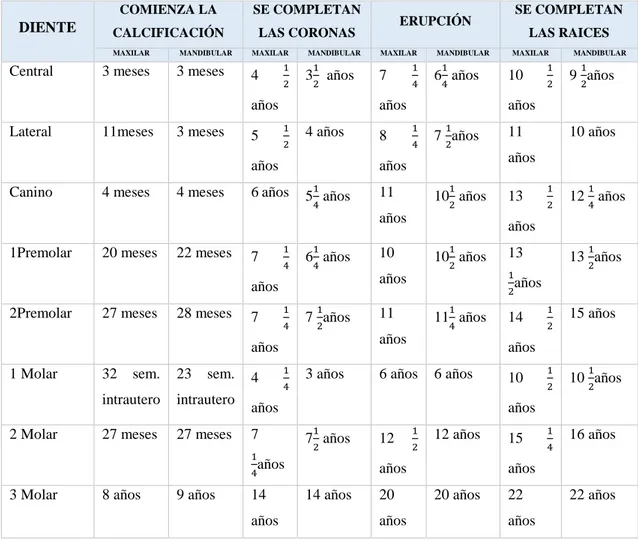 Tabla Nº 1. Cronología del desarrollo dental, dentición permanente