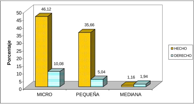 Figura 6.Organización empresarial. 