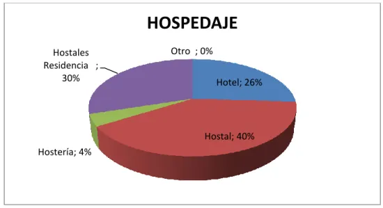 Figura Nº 9 Hospedaje 