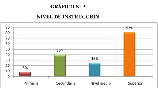 GRÁFICO N° 3  NIVEL DE INSTRUCCIÓN 