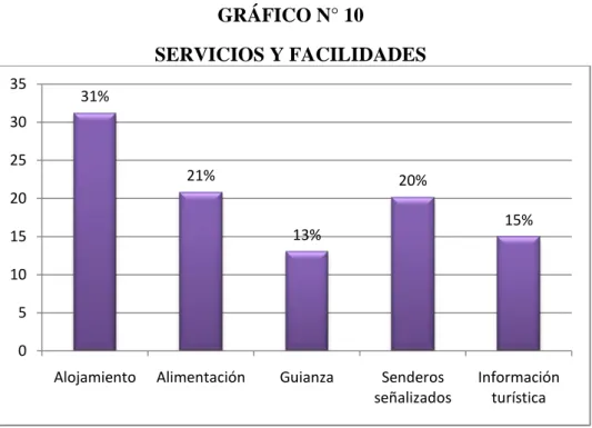 GRÁFICO N° 10 