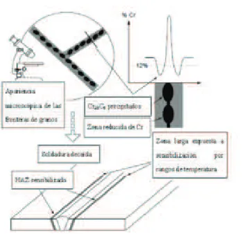 Figura 3.1 Sensibilización del acero inoxidable en una Zona Afectada por el Calor  (ZAC) 45 