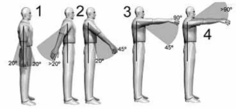 Tabla N° 6: Puntuación del brazo 