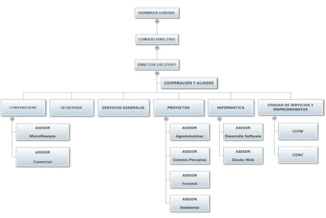 Gráfico N° 14 ESTRUCTURA ORGÁNICA 