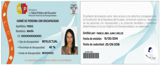 Gráfico 3: Formato del carnet del Ministerio de Salud Pública del  Ecuador MSP 