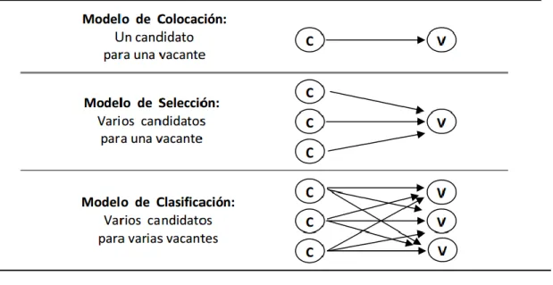 Gráfico 9 Modelo de colocación, selección y clasificación de candidatos 