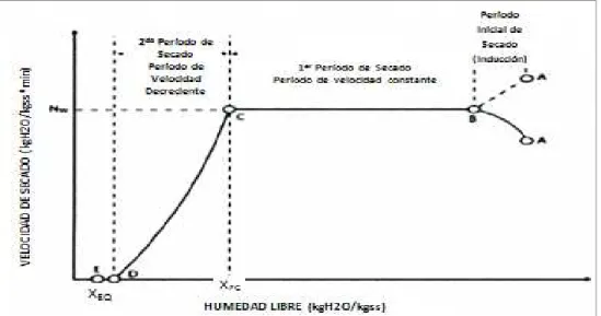 Figura 6. Segunda curva de secado 