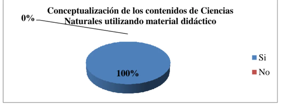 Gráfico N° 12 