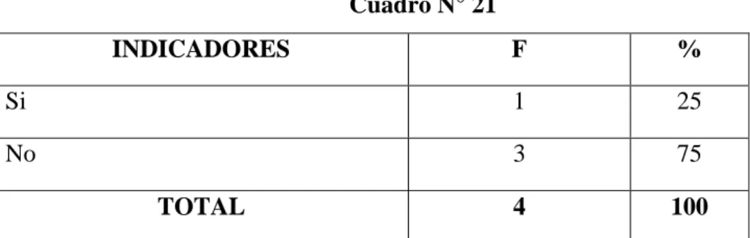 GRÁFICO N° 13 