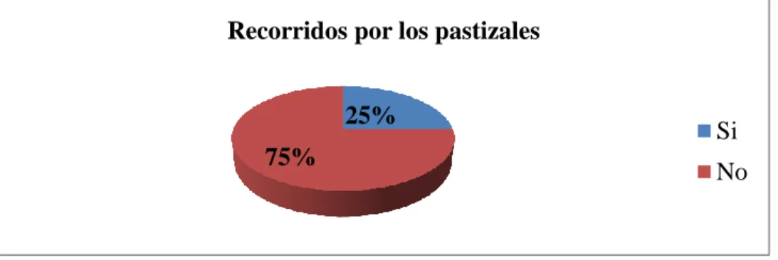 Gráfico N°4 