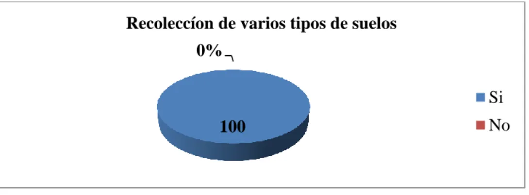 Gráfico N° 5 