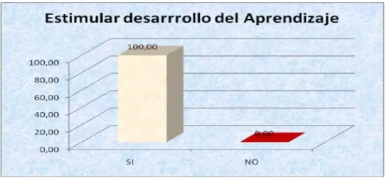 Gráfico Nº 10 