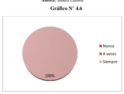 Gráfico N° 4.6 