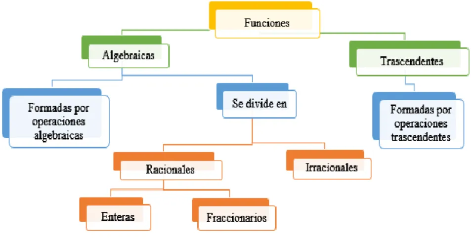 Figura 1. Clasificación de las funciones según Euler (basado en Ruiz, 1993, p.165) 