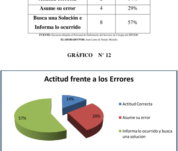 GRÁFICO    N° 12 