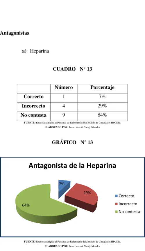 GRÁFICO   N° 13 