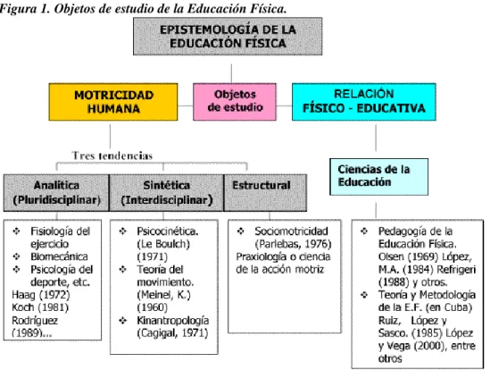 Figura 1. Objetos de estudio de la Educación Física.