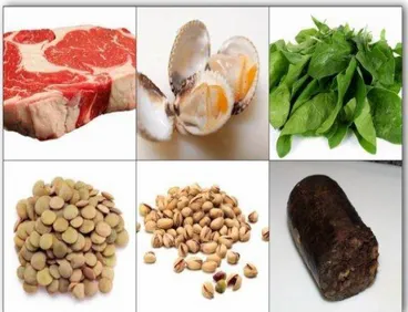Figura Nº 2.11: Alimentos que contienen hierro. 