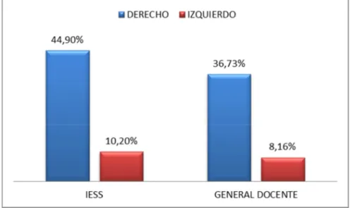 GRÁFICO N° 12  