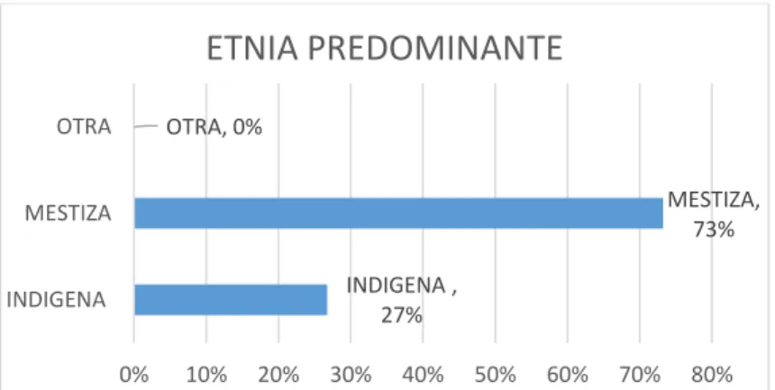 Ilustración 19: Etnia Predominante  Elaborado por: Carolina Merino &amp; Jennifer Pino 