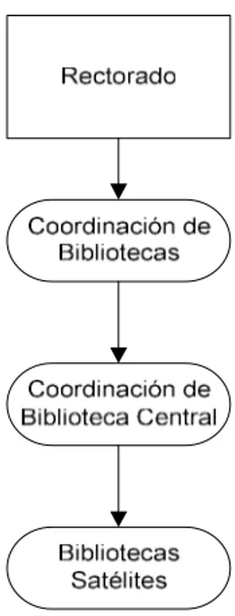 Figura  3 - Estructura Organizacional Bibliotecario  Fuente (Beltran, 2018) 
