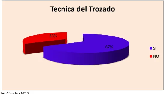 Gráfico N° 2 