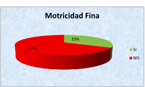 Gráfico N° 6 