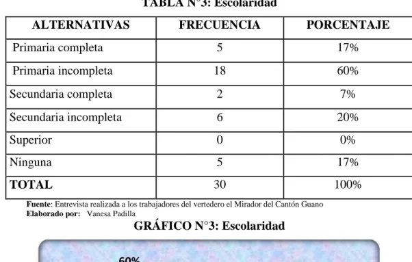 TABLA N°3: Escolaridad 