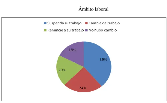 Gráfico Nº 07 