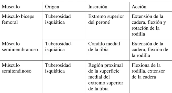 Tabla 1 Músculos Flexores 