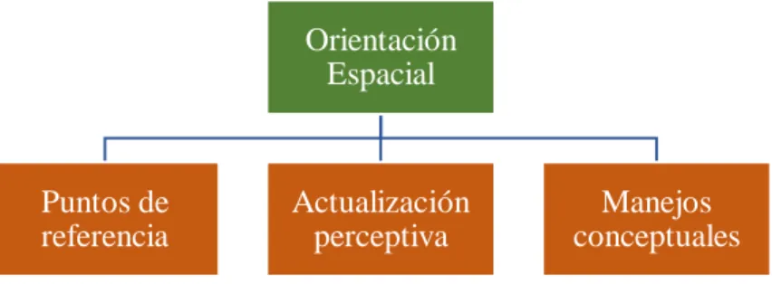 Figura 2.Componentes de la orientación espacial